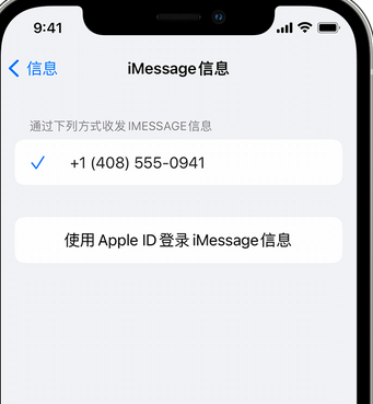 青松路街道apple维修iPhone上无法正常发送iMessage信息 