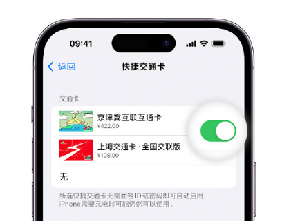 青松路街道apple维修点分享iPhone上更换Apple Pay快捷交通卡手绘卡面 