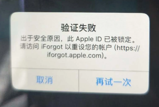 青松路街道iPhone维修分享iPhone上正常登录或使用AppleID怎么办 