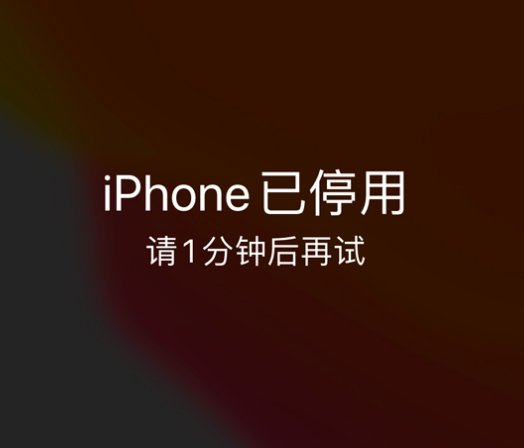 青松路街道苹果手机维修分享:iPhone 显示“不可用”或“已停用”怎么办？还能保留数据吗？ 