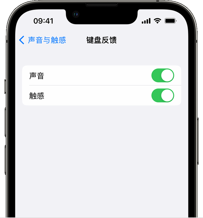 青松路街道苹果14维修店分享如何在 iPhone 14 机型中使用触感键盘 