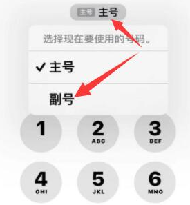 青松路街道苹果14维修店分享iPhone 14 Pro Max使用副卡打电话的方法 