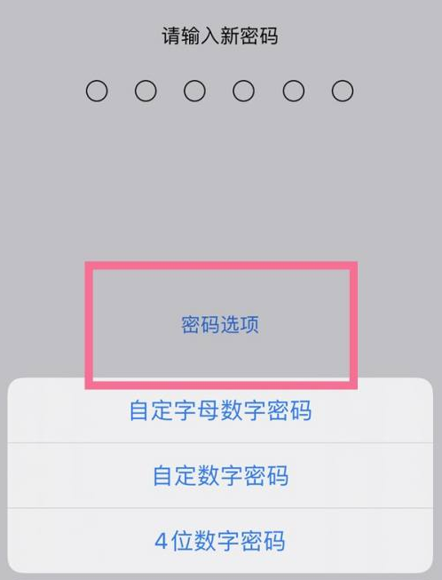 青松路街道苹果14维修分享iPhone 14plus设置密码的方法 