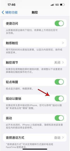 青松路街道苹果手机维修分享iPhone手机如何设置摇一摇删除文字 