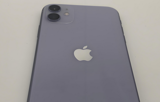 青松路街道苹果11系统维修分享iPhone11手机系统崩溃无法开机如何解决 